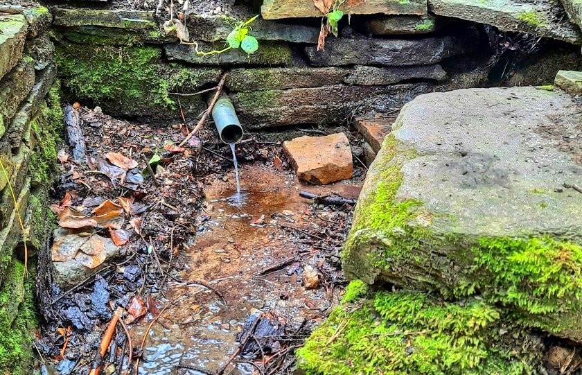 studánka Ivanovická (Pod Babou) (223) - září 2023