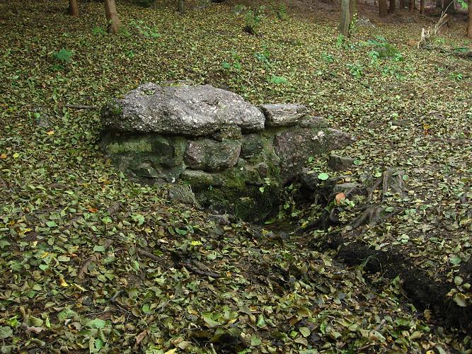 studánka Olšová (226) - březen 2008