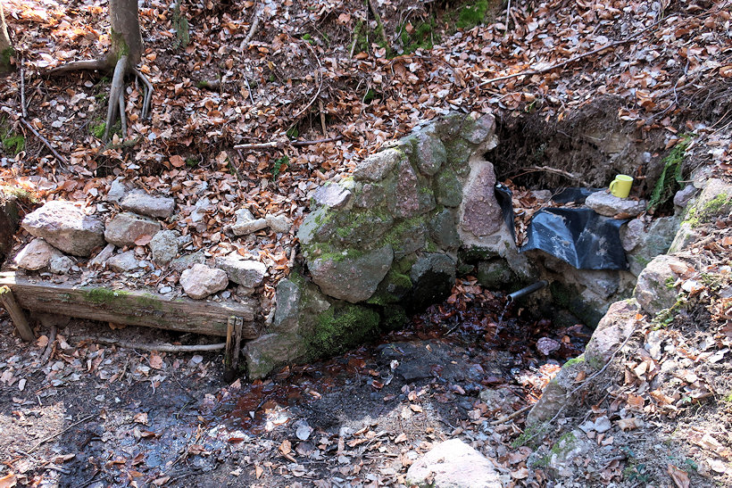 Studánka Míru (228) - duben 2020