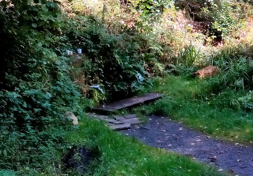 studánka pod Křenovem (238) - datum neznámé