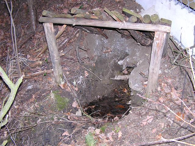 Studánka u Horního Řepického rybníku (247) - březen 2008