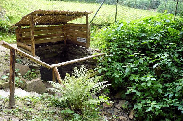 studánka Hraběcí (293) - březen 2008