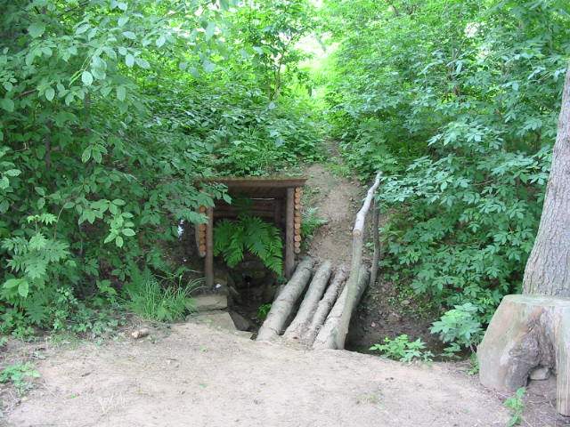 studánka Dolíhalova (294) - březen 2008