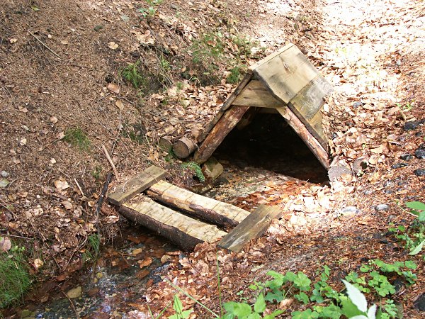 Čerstvý pramen (311) - březen 2008