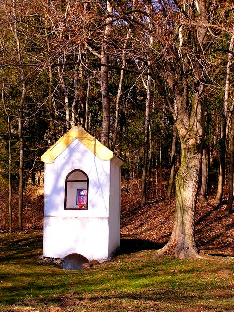 Studánka sv. Vojtěcha (315) - březen 2008