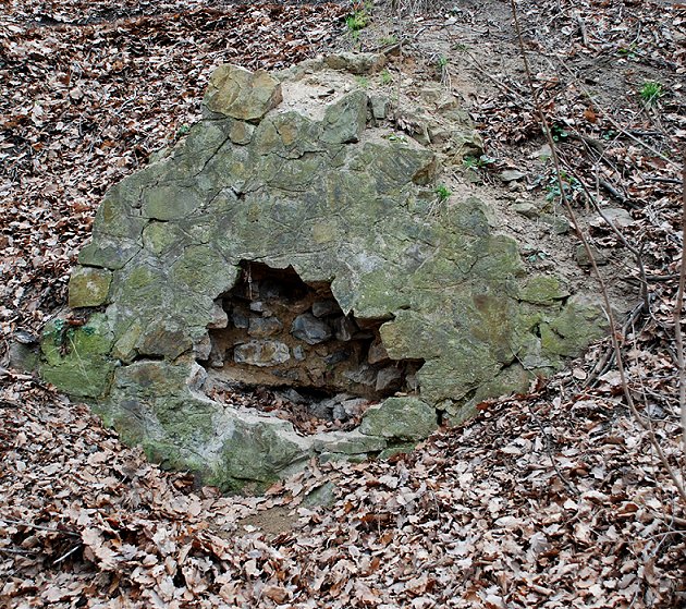 studánka Labutěnka (316) - březen 2008