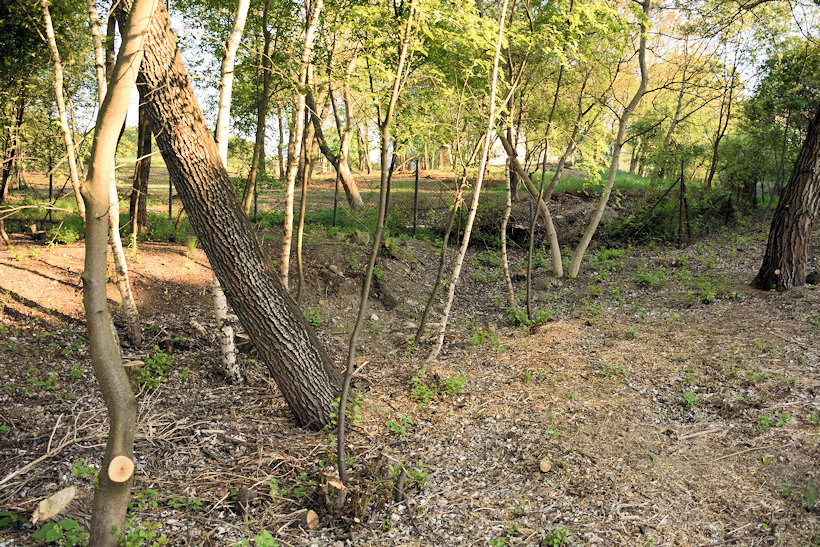 studánka Řeřišnicová (318) - květen 2022