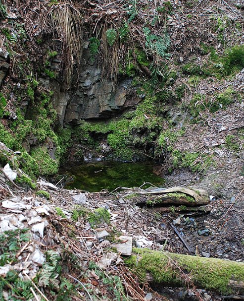 pramen Ve Skále (325) - březen 2008
