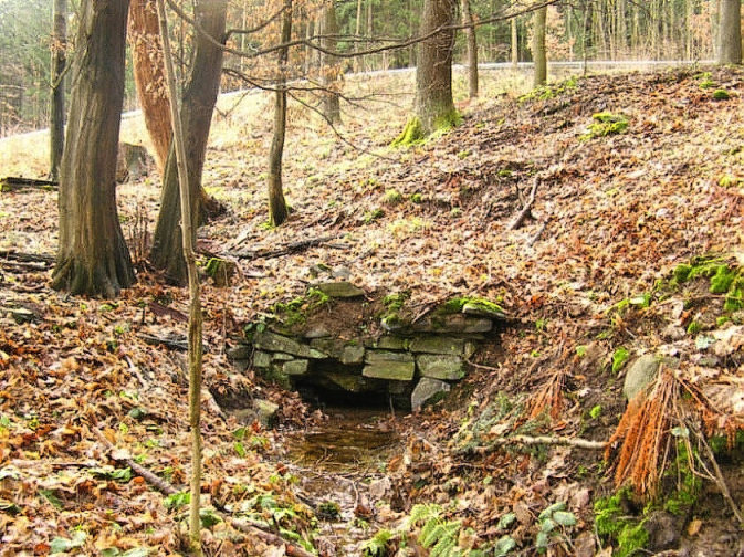 studánka U rasovny (330) - květen 2008