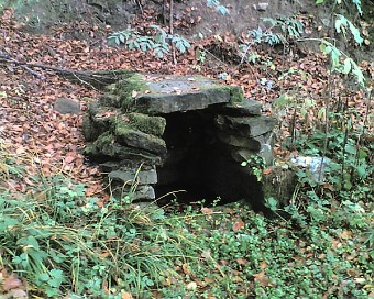 studánka Na Podrysoví (339) - květen 2008