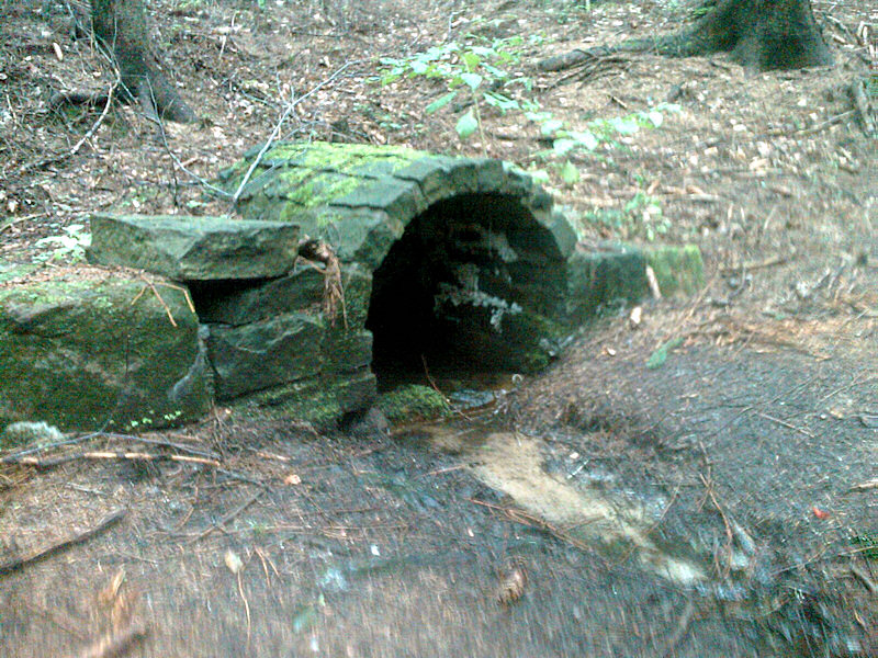 studánka U hadího smrku (341) - květen 2008