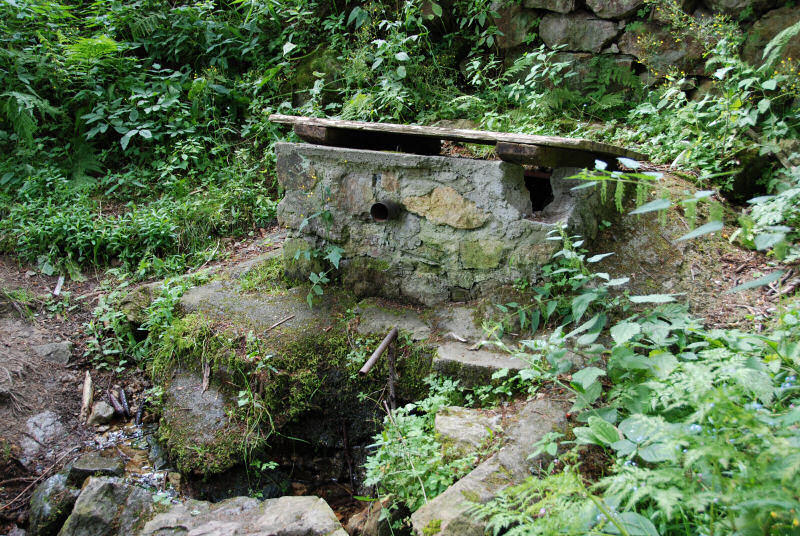 Hradní studánka (353) - červenec 2008