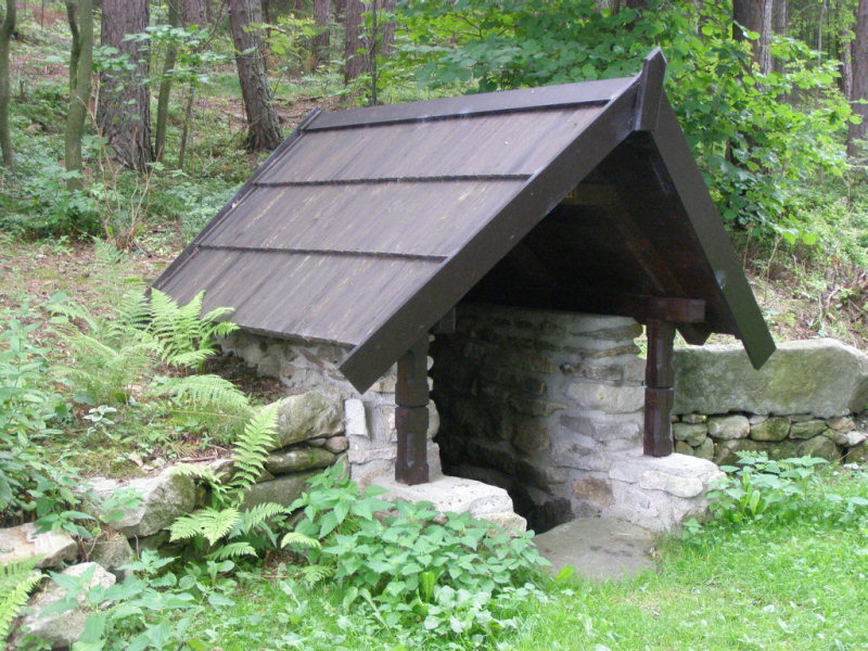 Lesní studánka (365) - srpen 2008