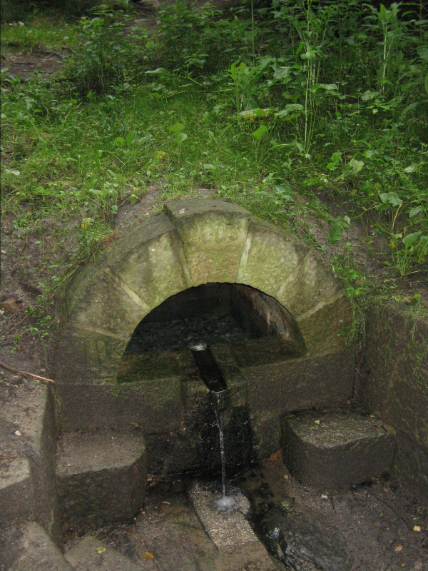 studánka U Bartoňského rybníka (379) - srpen 2008
