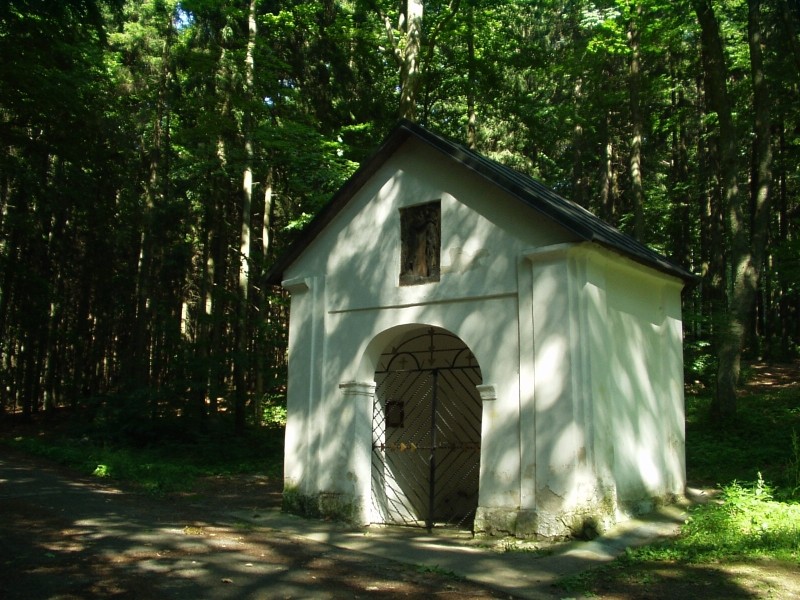 pramen Zázračná studánka (382) - srpen 2008