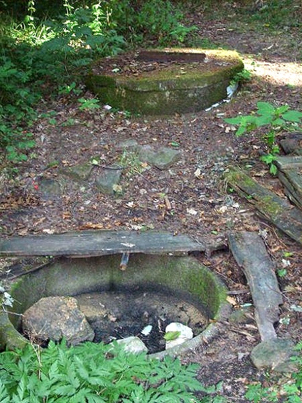 studánka bez jména (393) - srpen 2008