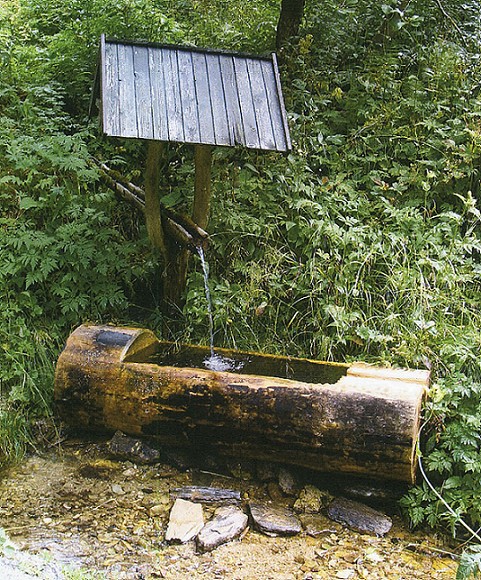 pramen V Černém Dole (414) - srpen 2008