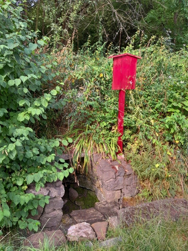 studánka Pod Děvínem (426) - červenec 2023