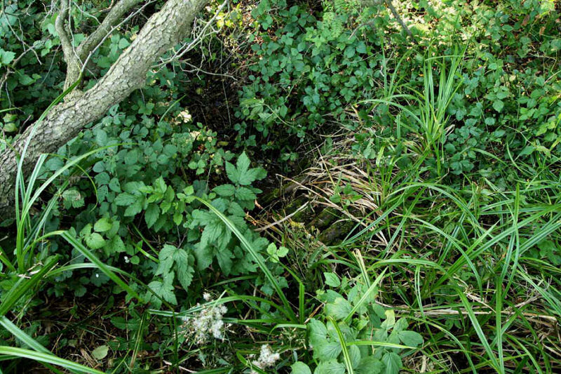 pramen Urbanova studánka (Rontkorlquelle) (444) - září 2008