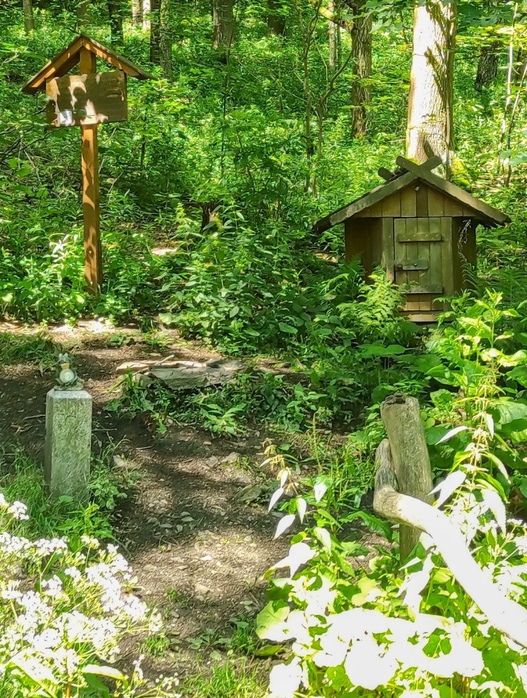 studánka U Žabáka (461) - červen 2024