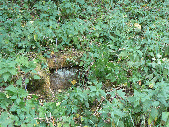 studánka Skalka (466) - září 2008