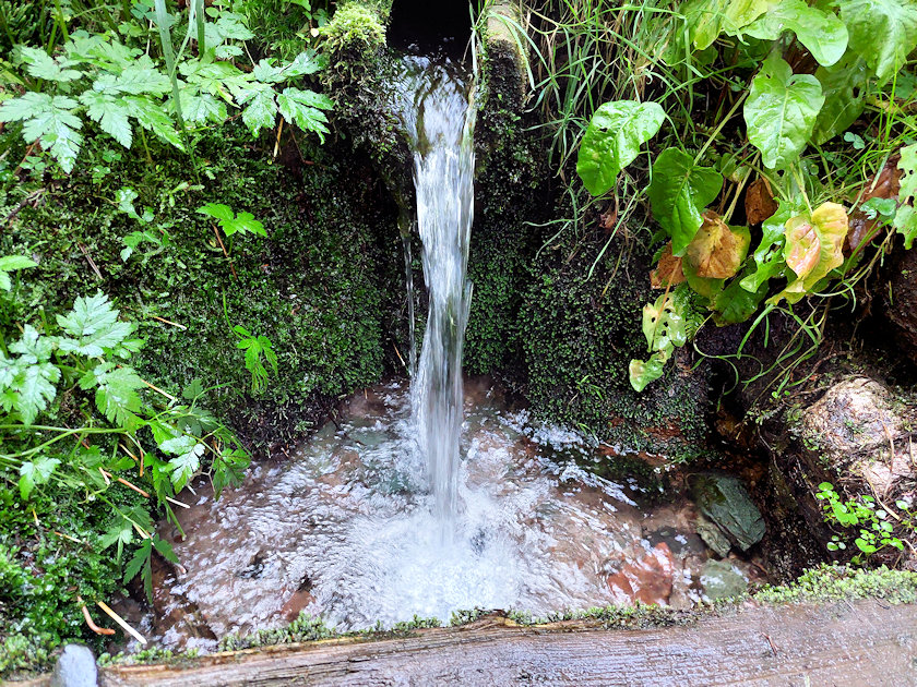 studánka Luisino údolí (474) - srpen 2022