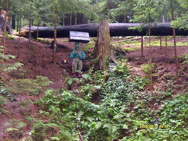 studánka Štěpánka (475) - září 2008