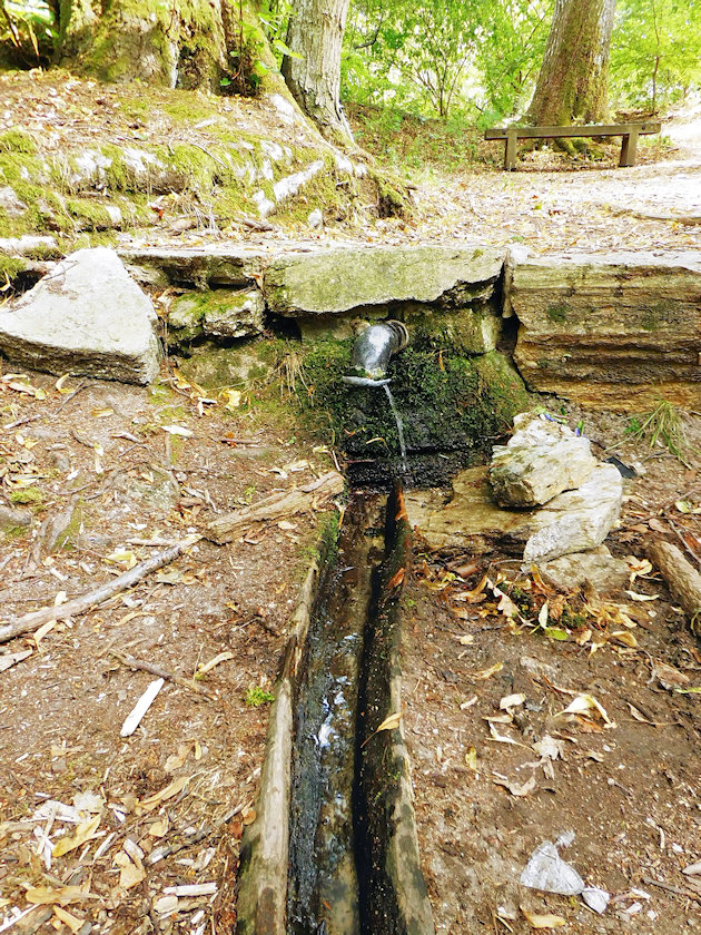studánka Pod Lipami (522) - červenec 2022
