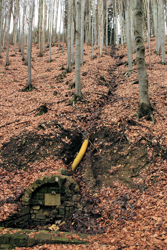 Bisova studánka (524) - únor 2022