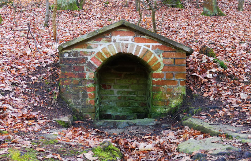 studánka U Smetáka (568) - únor 2021