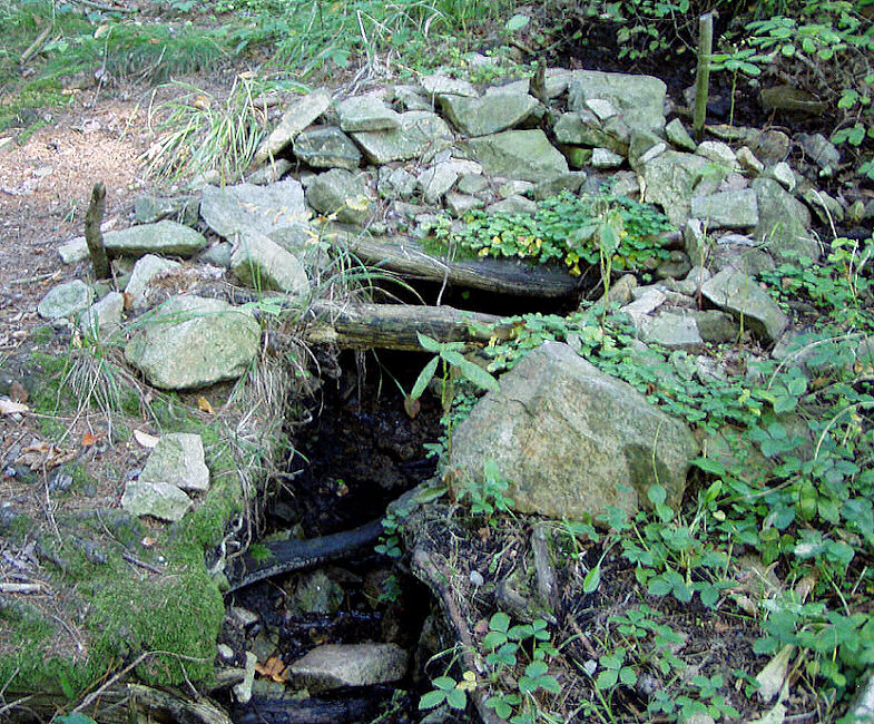 studánka Pod Hradišťským vrchem (569) - září 2008