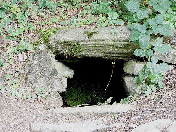 studánka Pohanka (573) - září 2008