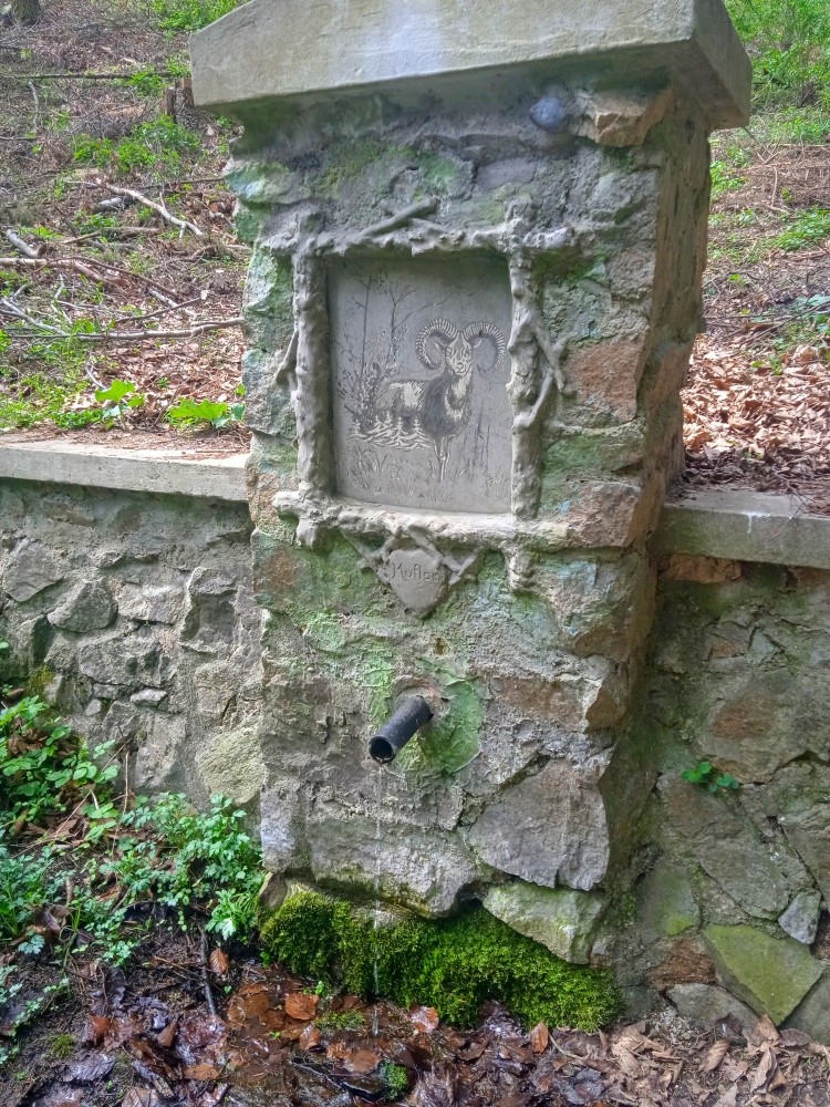Mufloní studánka (585) - duben 2025