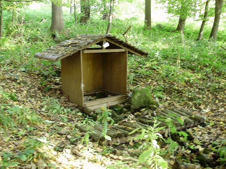 studánka U stezky (647) - říjen 2008