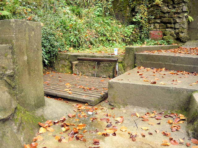 studánka Svatá voda - Kaménka (652) - květen 2024