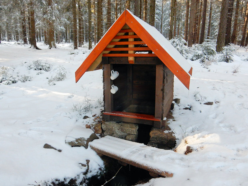 studánka U Rusínské boudy (738) - leden 2021
