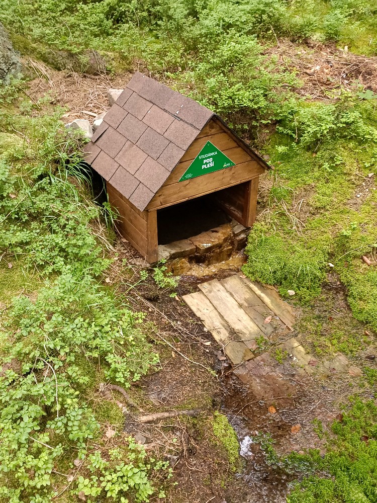studánka Pod Pleší (739) - červen 2024
