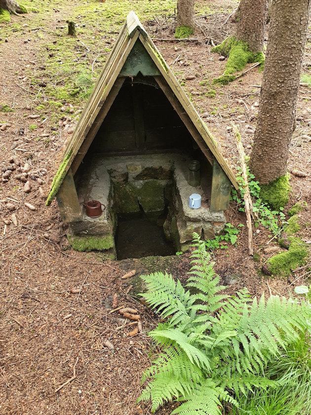 studánka U boudy Soudná (757) - červen 2021