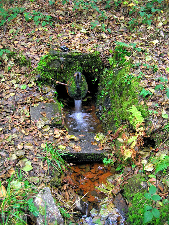 jiný vodní zdroj Pod Bábovkou (761) - listopad 2008