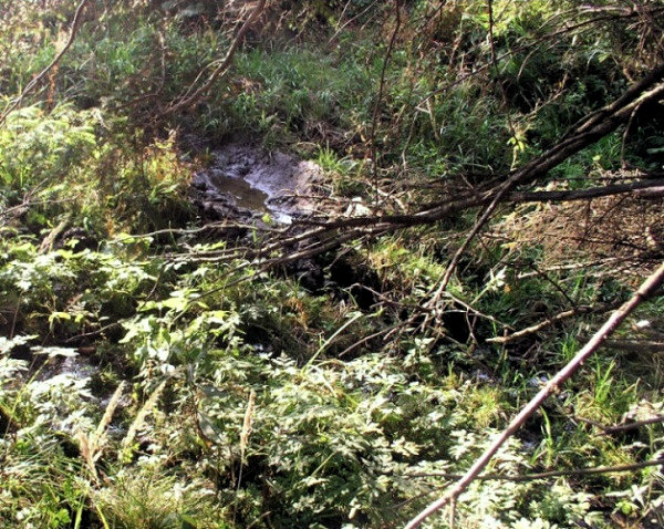 studánka Ve Vavrušce (786) - listopad 2008