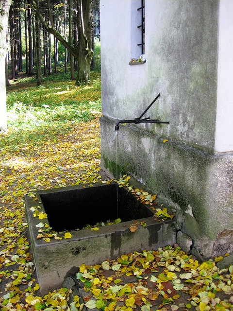 jiný vodní zdroj Kostelecká (805) - leden 2009