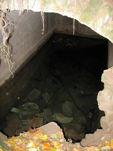 studánka U devíti pramenů (811) - leden 2009