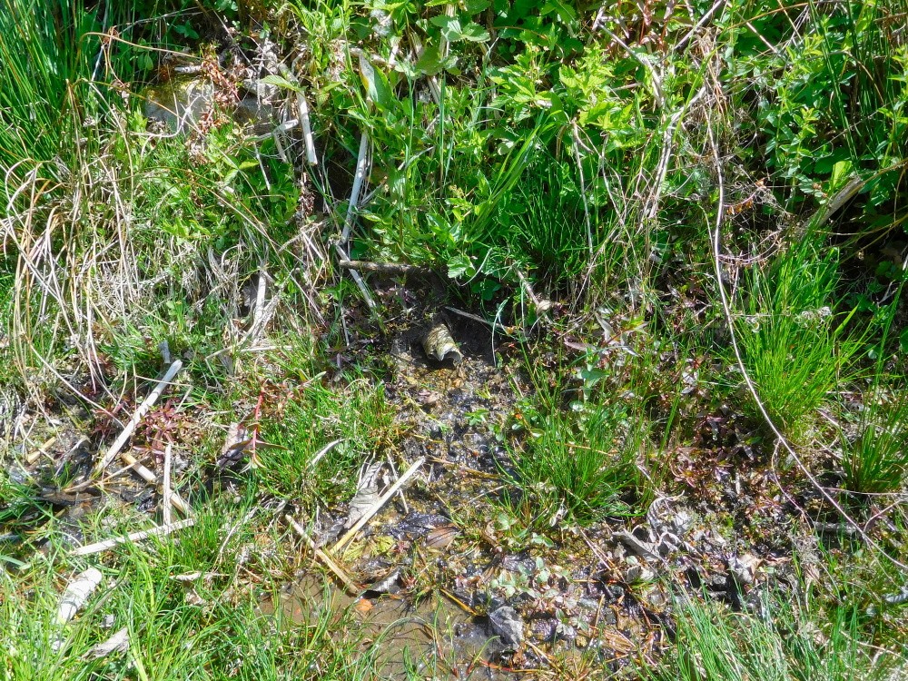 studánka U Bobrůvky (824) - květen 2025