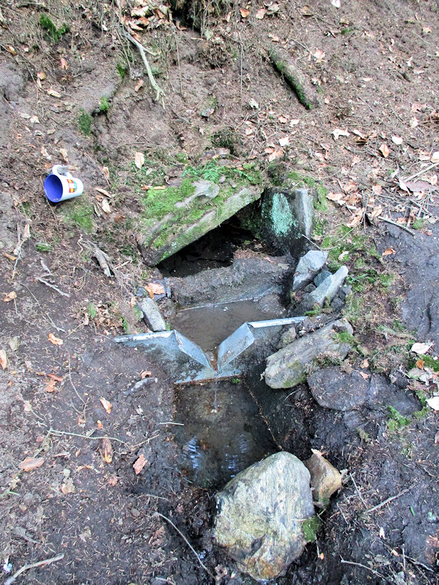 studánka bez jména (825) - červen 2019