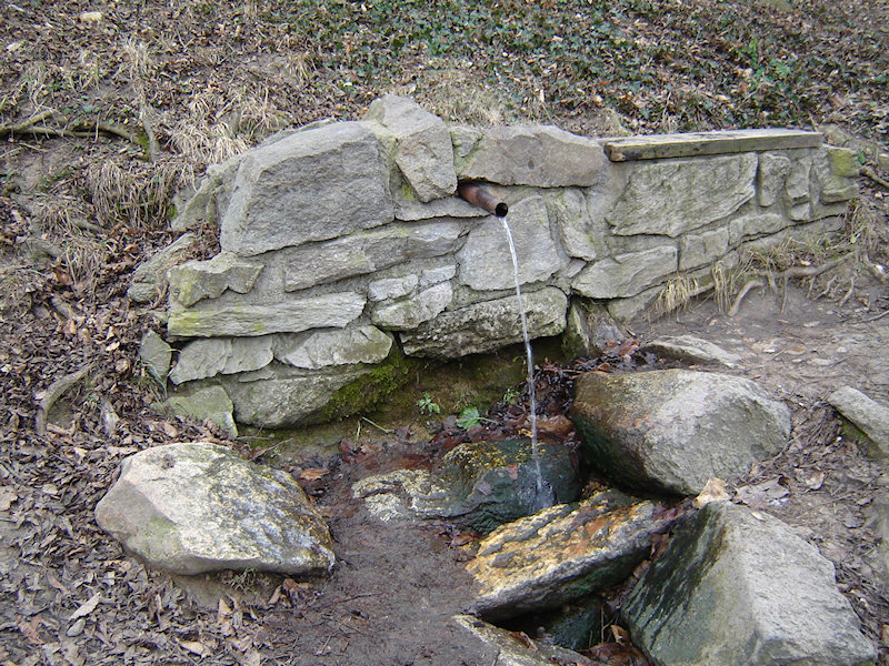 Cendelínová studánka (826) - leden 2009