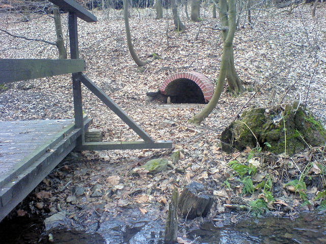 studánka Pánova louka (827) - leden 2009