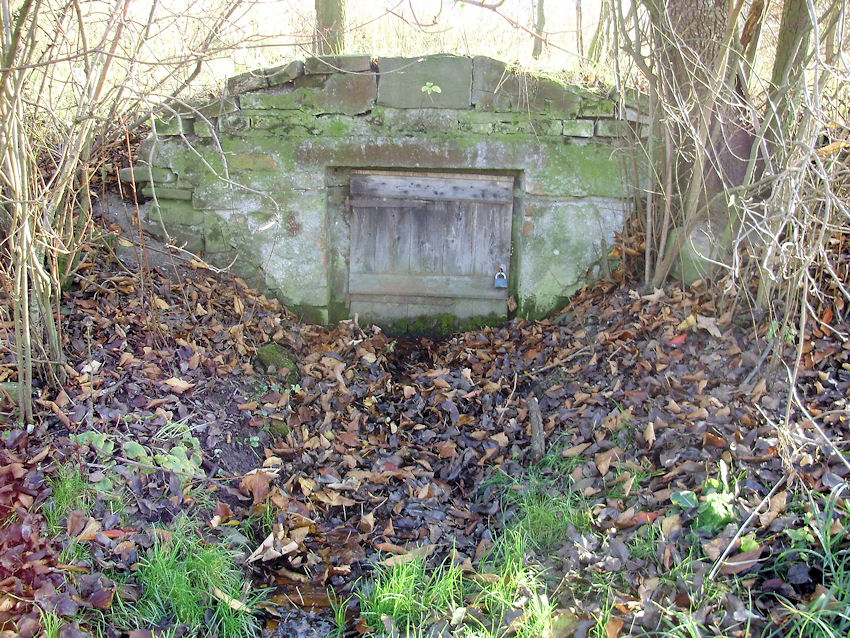 studánka U Petrklíče (854) - leden 2009