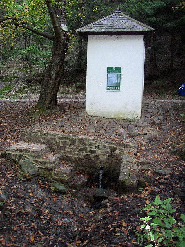 studánka V Pekle (859) - leden 2009