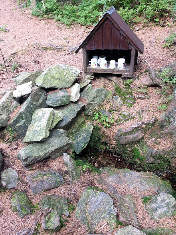 studánka Lesní (864) - září 2021