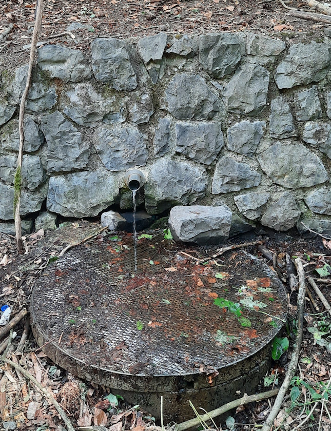 studánka J. Tomečka (870) - červenec 2022